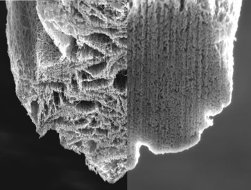 FD173: Spinning of carbon nanotube fibres using the floating catalyst high temperature route: purity issues and the critical role of sulphur