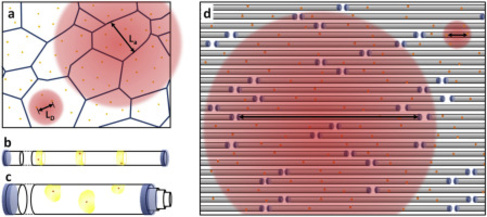Chirality-independent characteristic crystal length in carbon nanotube textiles measured by Raman spectroscopy