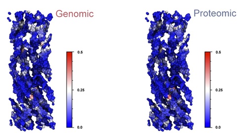 Ancient proteins resolve the evolutionary history of Darwin’s South American ungulates