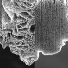 FD173: Spinning of carbon nanotube fibres using the floating catalyst high temperature route: purity issues and the critical role of sulphur