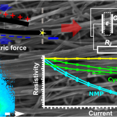 New electro-structural effect observed in CNT fibres