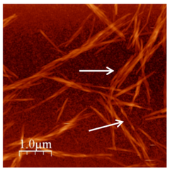 Origin of chiral interactions in cellulose supra-molecular microfibrils