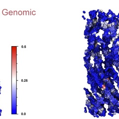 Ancient proteins resolve the evolutionary history of Darwin’s South American ungulates
