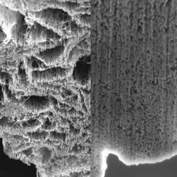 FD173: Spinning of carbon nanotube fibres using the floating catalyst high temperature route: purity issues and the critical role of sulphur