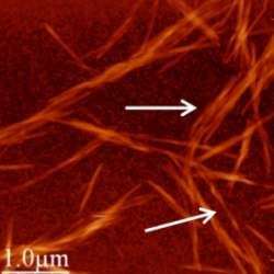 Origin of chiral interactions in cellulose supra-molecular microfibrils