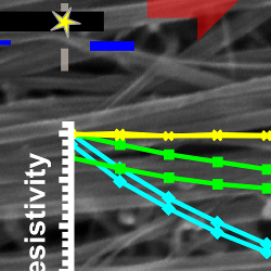 New electro-structural effect observed in CNT fibres